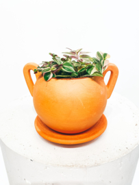 "Bola" terracotta pot with  handles D11 H9