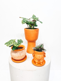 Double reversible terracotta pot D11 H18