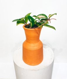 Double reversible terracotta pot D14 H23