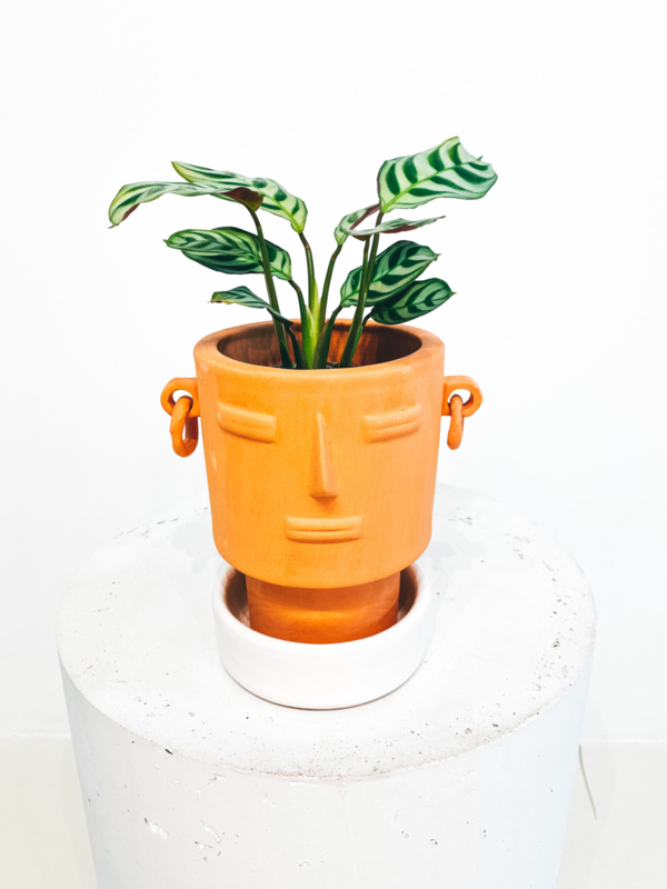 Terra Cotta Pottery, Handmade Clay Pots, Terracotta Cup – The Boho Lab