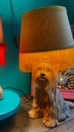Geweldige honden lamp !