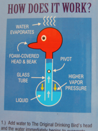 Original drinking bird