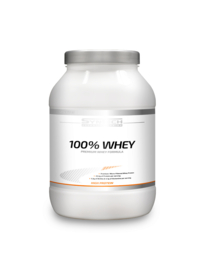 Syntech 100% Whey