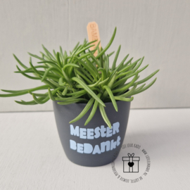Bloempot mini | Diverse teksten
