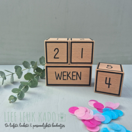 Mijlpaalblokken | Groot