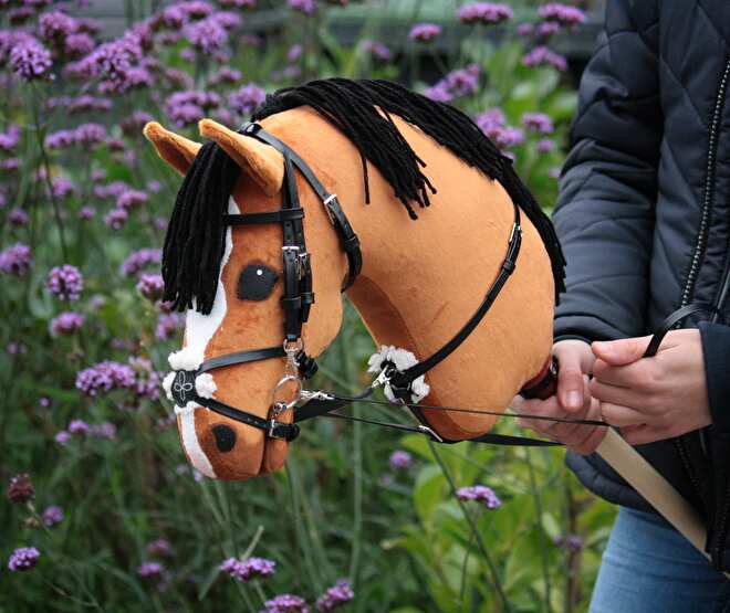 Making of a Unique Hobbyhorse✨ 