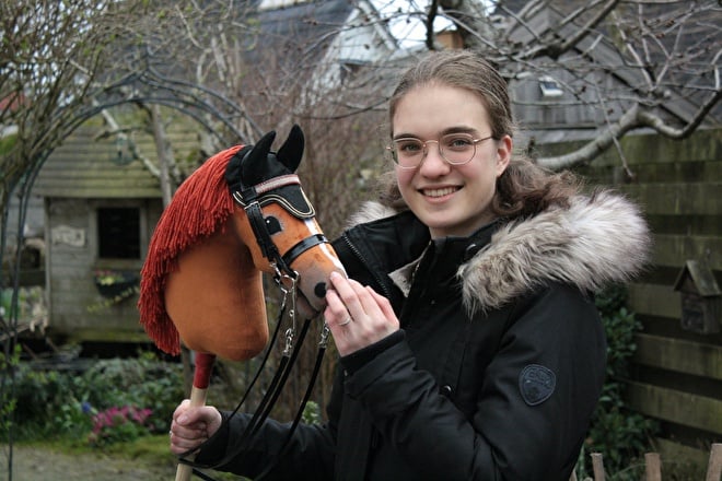 Materials  hobbyhorse-maker