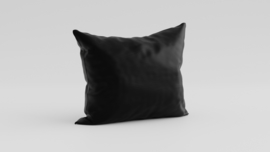 LXRY SILK BLACK SILK PILLOWCASE SET VAN 2