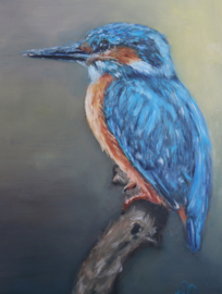 SOLD Kingfisher, oil on wooden panel 18 x 24 cm