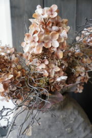 KUNST HORTENSIA -HYDRANGEA BROWN