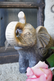 STENEN OLIFANT GROOT