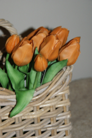 TULPEN BRUIN 30 CM
