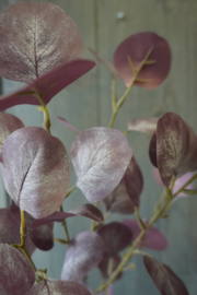 EUCALYPTUS SPRAY PURPLE