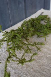 KUNST MOSTWIJG - GROEN