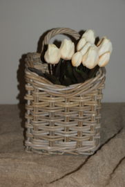 TULPEN CREME 30 CM