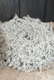 ASPARAGUS WREATH WHITE 28 CM