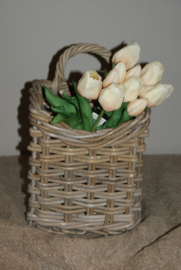 TULPEN CREME 30 CM