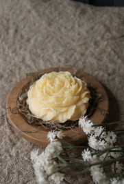 ROOS - WHITE MUSK