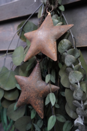 METALEN KERST STER - RAVI 10 CM