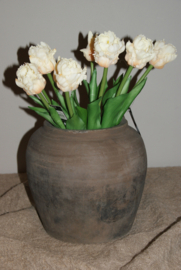 PARROT TULPEN CREME 40 CM