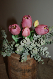 TULPEN PAARS 40 CM