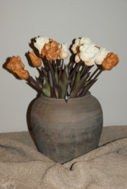 PARROT TULPEN CREME 40 cm