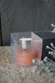 COUNTRYFIELD WAXINE LEDKAARSEN - ROZE