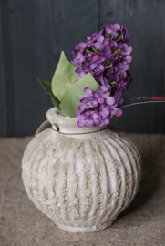 HYDRANGEA PURPLE
