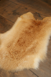 VACHT- CAMEL