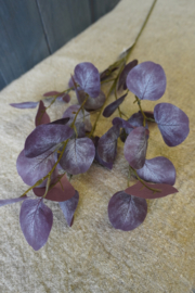 EUCALYPTUS SPRAY PURPLE