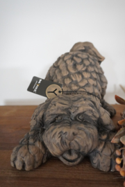BARKING DOG MAJESTIC BROWN