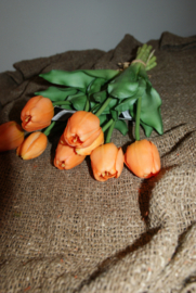 TULPEN ORANJE 40 CM