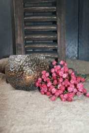 GYPSOPHILA FUCHSIA