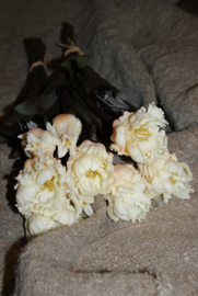 PARROT TULPEN CREME 40 cm