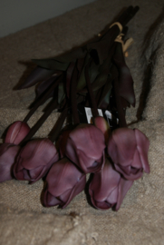 TULPEN PURPLE 40CM