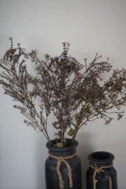 SYLXZ LEAFS VINTAGE BROWN