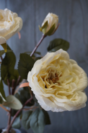 ROSE SPRAY WHITE