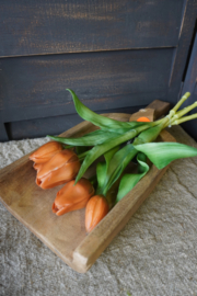 HOUTEN SCHEP - M