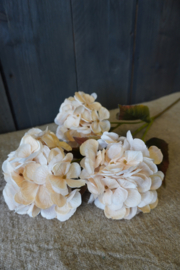 HYDRANGEA SPRAY CREAM