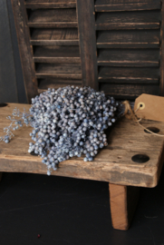 PEPPERBERRY- BLUE