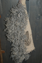TILLANDSIA TAK GRIJS