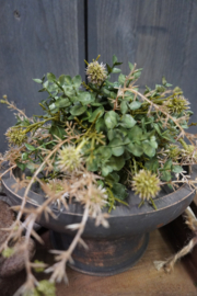 KUNSTBLOEM HALVE BOL GROEN - S