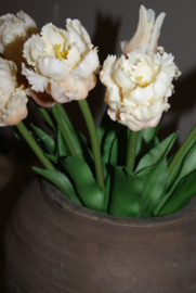 PARROT TULPEN CREME 40 CM