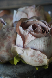 KUNST ROOSJES -  "OLD MAUVE"