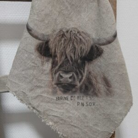 SHABBY DOEK - HOOGLANDER VOORAANGEZICHT