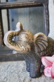 STENEN OLIFANT GROOT