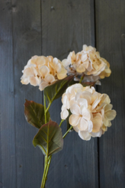 HYDRANGEA SPRAY CREAM