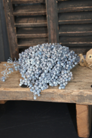 PEPPERBERRY- BLUE