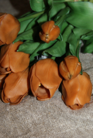 TULPEN BRUIN 30 CM