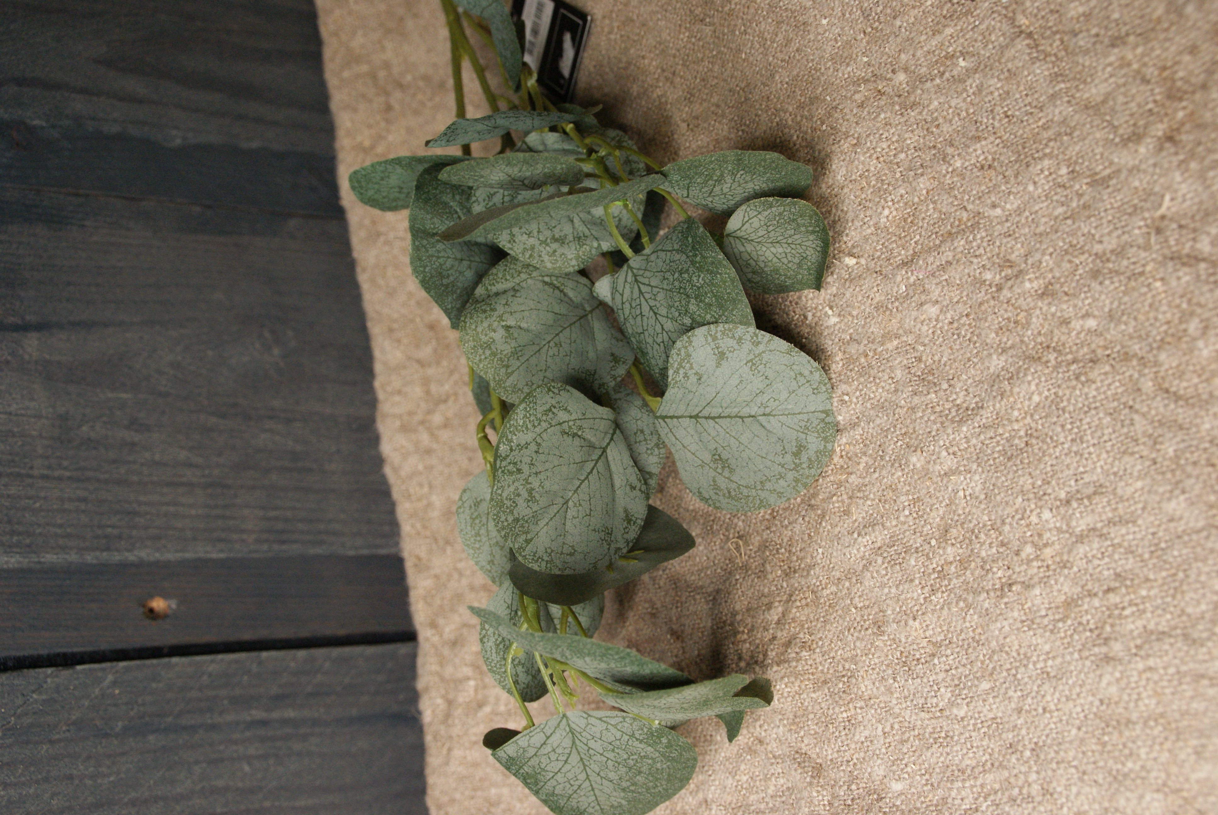 EUCALYPTUS TAK